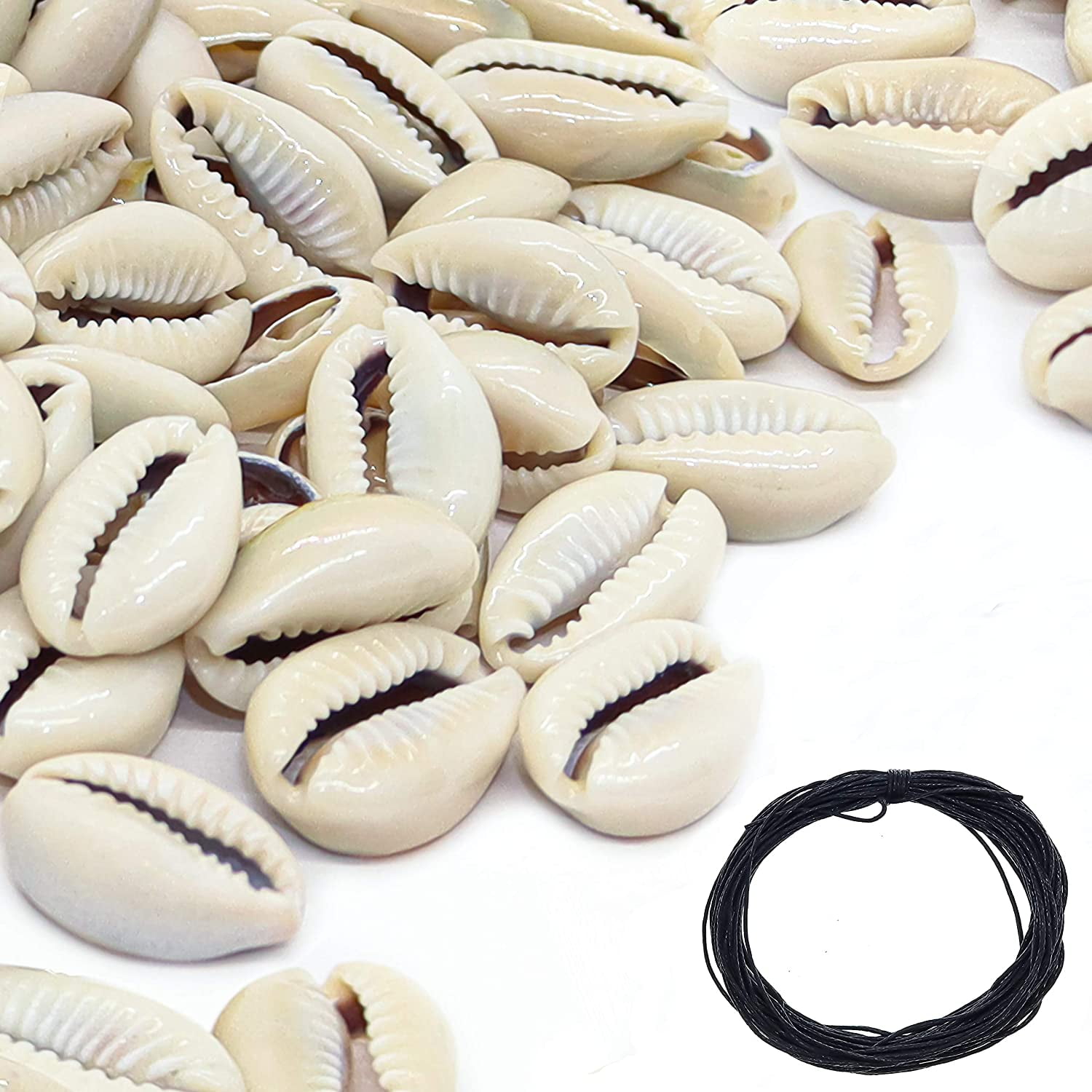 FUN WEEVZ Fun-Weevz 150 Natural Cowrie Shells for Jewelry Making Beads