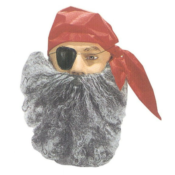 Fun World FW9267GY Beard Big and Curly Gray