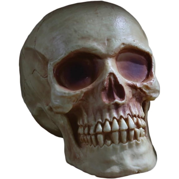 Fun World Scary Halloween Skull with Jaw 8" Plastic Table Decoration, White Brown