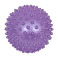 thumbnail image 1 of Fun and Function 8 inch Spiky Tactile Ball - Purple, 1 of 9
