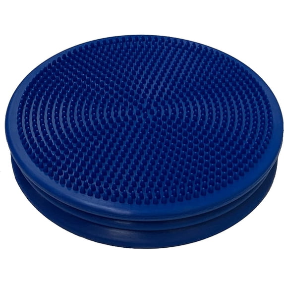 Fun and Function My Magical Cushion and Pump Sensory Processing Tool to ...