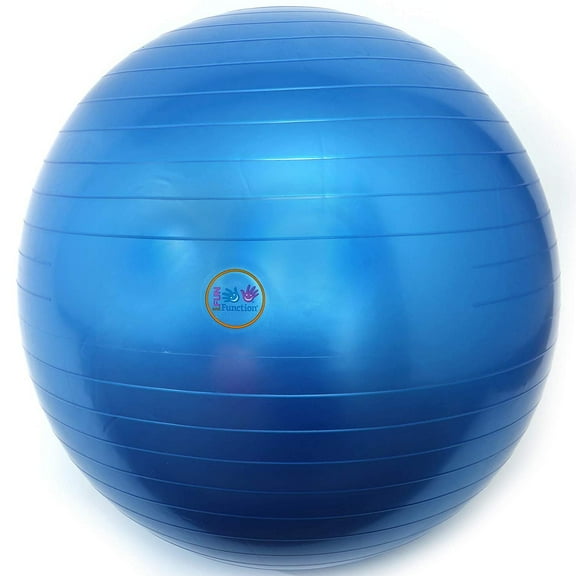 Fun and Function's 29 inch Therapy Ball - Blue