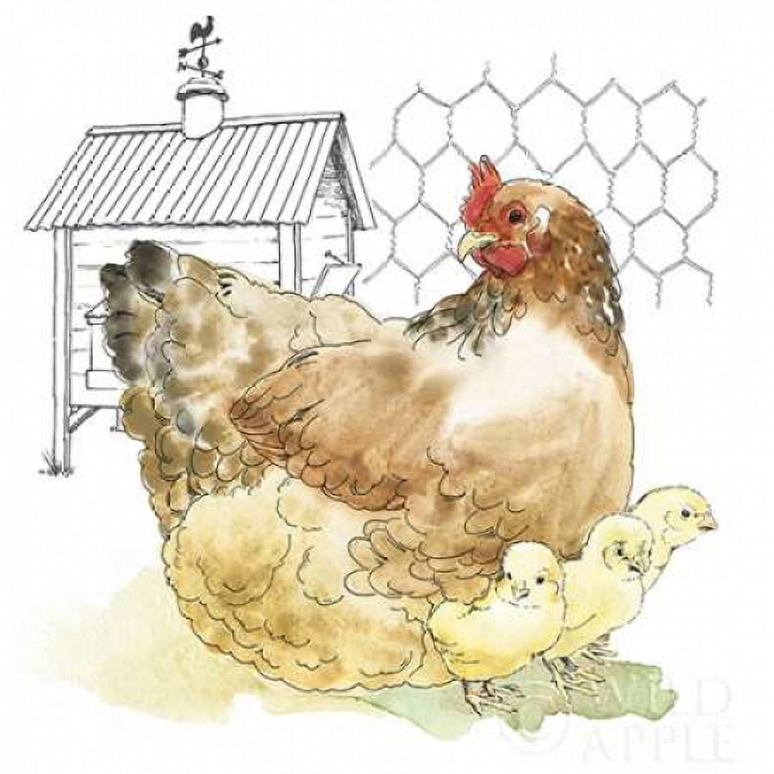 Fun at the Coop I Canvas Art - Beth Grove (24 x 24)