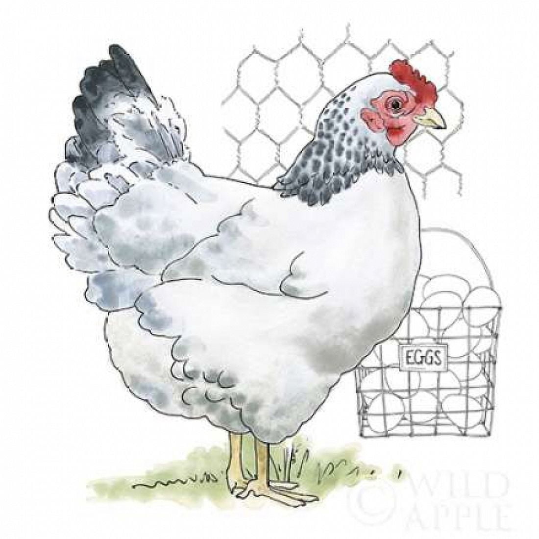 Fun at the Coop IV v2 Canvas Art - Beth Grove (24 x 24)