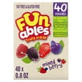 thumbnail image 1 of Funables Fruity Snacks, Mixed Berry Flavored Snacks, 0.8 Ounce Pouches, 40 Count, 1 of 12
