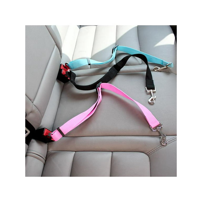 Cat seatbelt harness hotsell