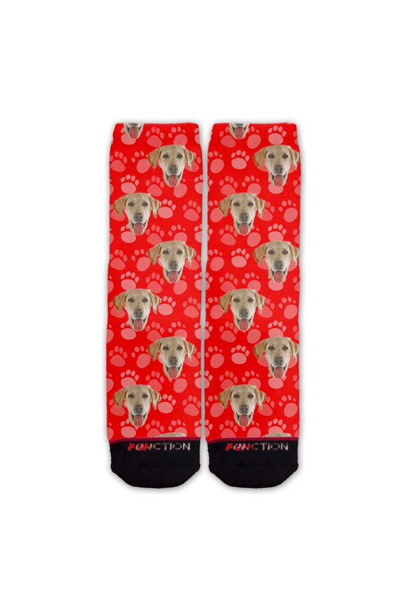 - Labrador Dog Face Fashion Socks Pattern