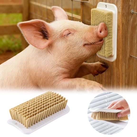 Function Self Grooming and Scratch Brush Enrichment Tool for Miniature Pigs Promotes Natural Instincts and Reduces Animal Stress