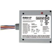 Functional Devices RIB01P Enclosed Relay, DPDT, 20-Amp, 120V Coil