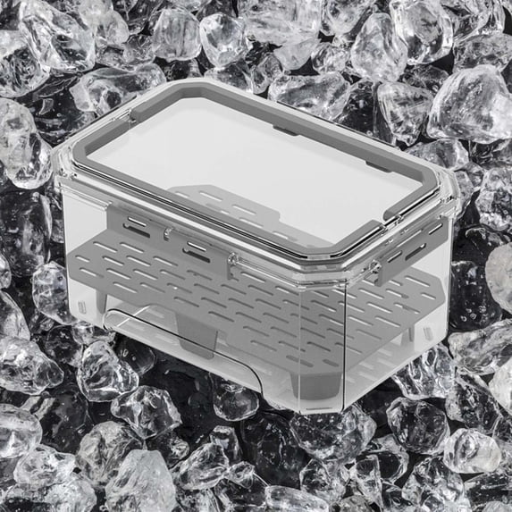 Functional Ice Tray with Fresh-Keeping Box, Portable Refrigerator Storage Container with Sealed Lid, Food Grade Transparent Lunch Box for Picnics and Kitchen Use