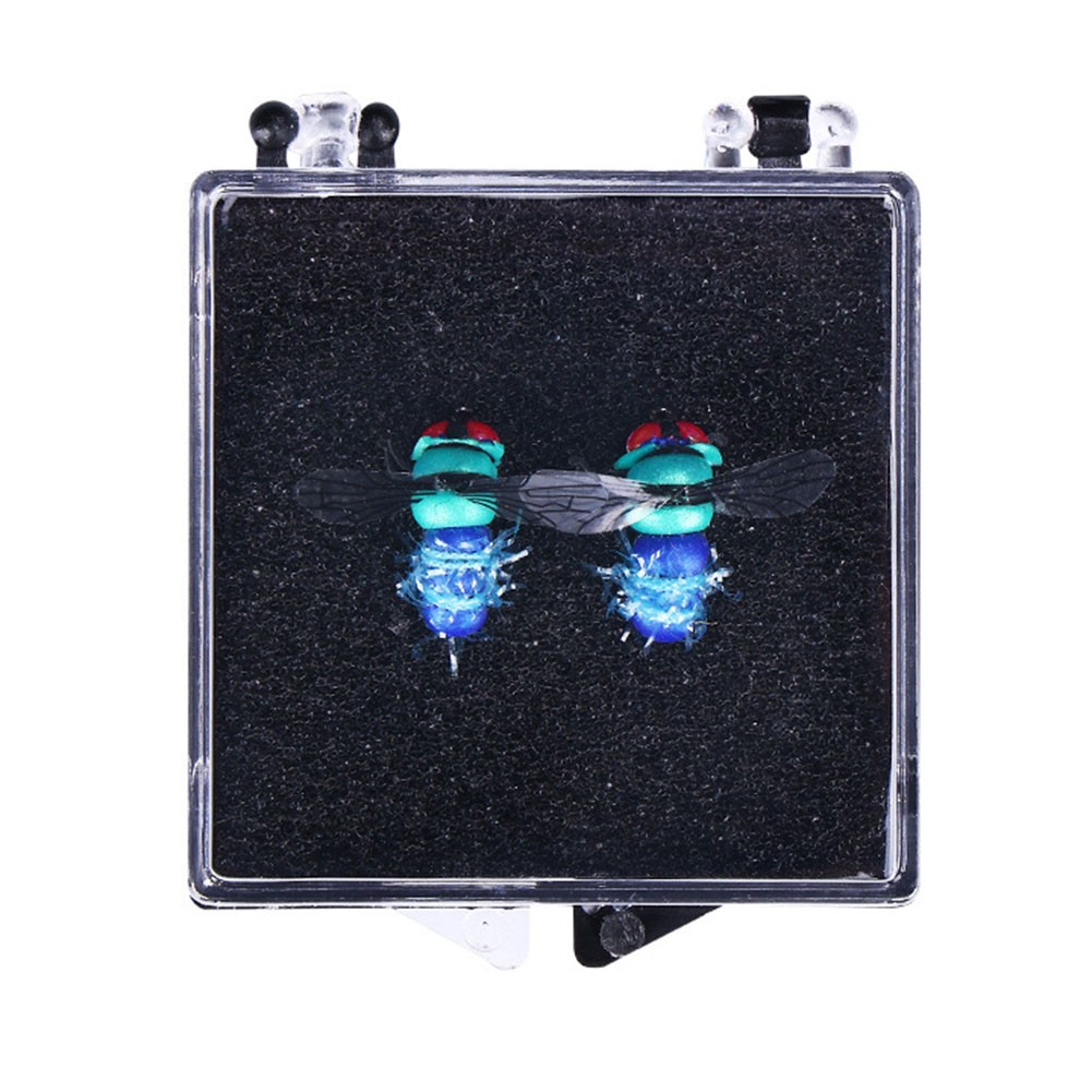 Functional and Realistic Stonefly Lures for Bass For Trout Grayling