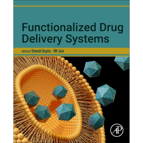 Functionalized Drug Delivery Systems, (Paperback)