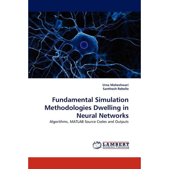 Fundamental Simulation Methodologies Dwelling in Neural Networks (Paperback)