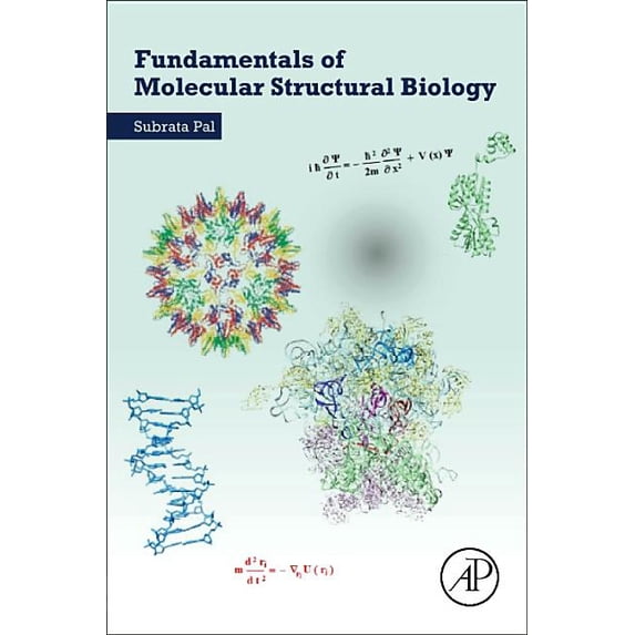 Fundamentals of Molecular Structural Biology (Paperback)