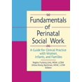 thumbnail image 1 of Fundamentals of Perinatal Social Work: A Guide for Clinical Practice with Women, Infants, and Families, 1 of 1