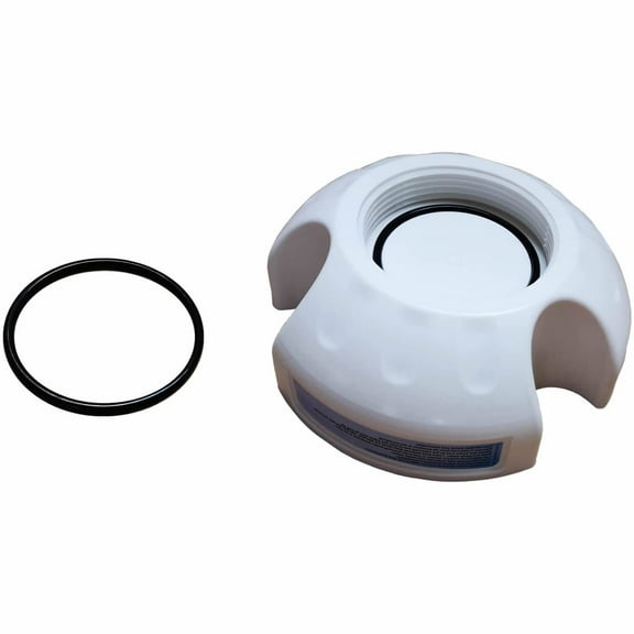 Fundyliue Pool Cleaning Stand Compatible With Hayward Pentair IntelliChlor Pickling Kit With O-Ring