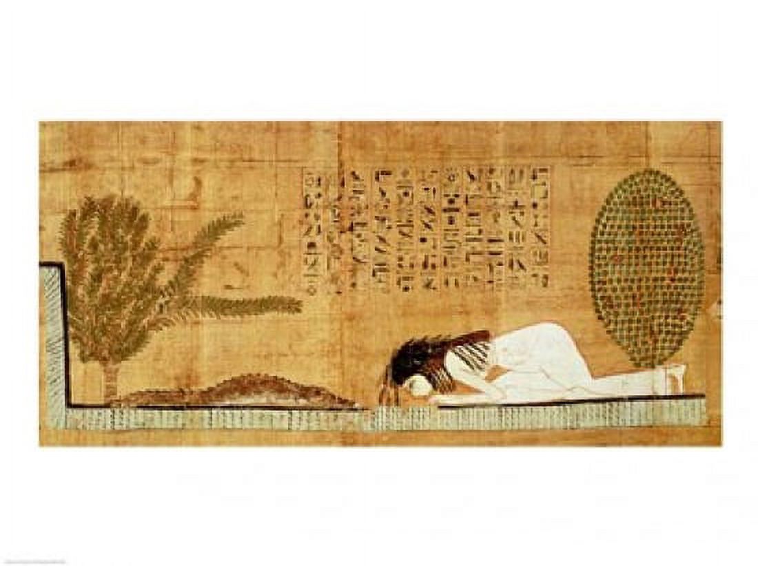 Funerary papyrus depicting the deceased prostrate in front of the crocodile Canvas Art - (24 x 18)