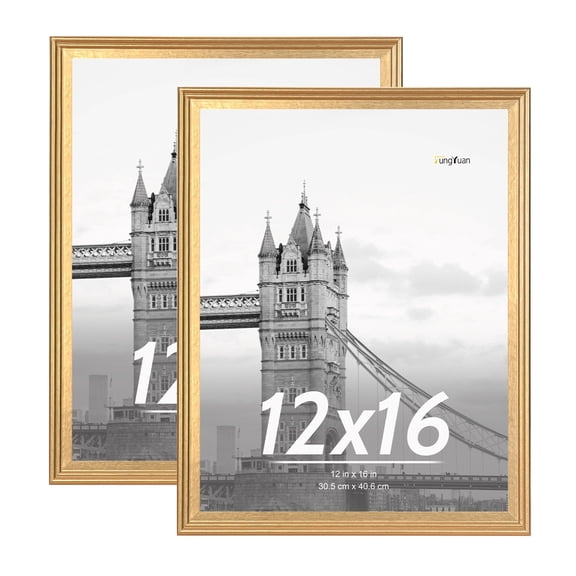 FungYuan 2 PACK 12x16 Wood Gallery Picture Frame,Poster Picture Frames for Wall Display,Gold