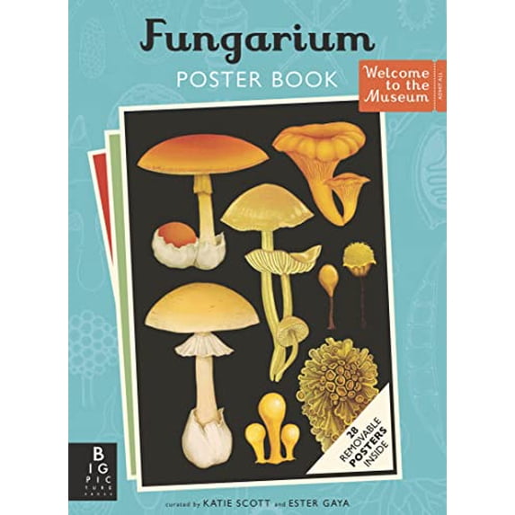 Pre-Owned Fungarium Poster Book (Paperback) 1536232513 9781536232516