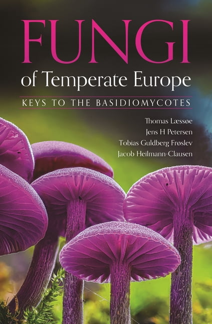 Fungi of Temperate Europe: Keys to the Basidiomycotes, (Hardcover)