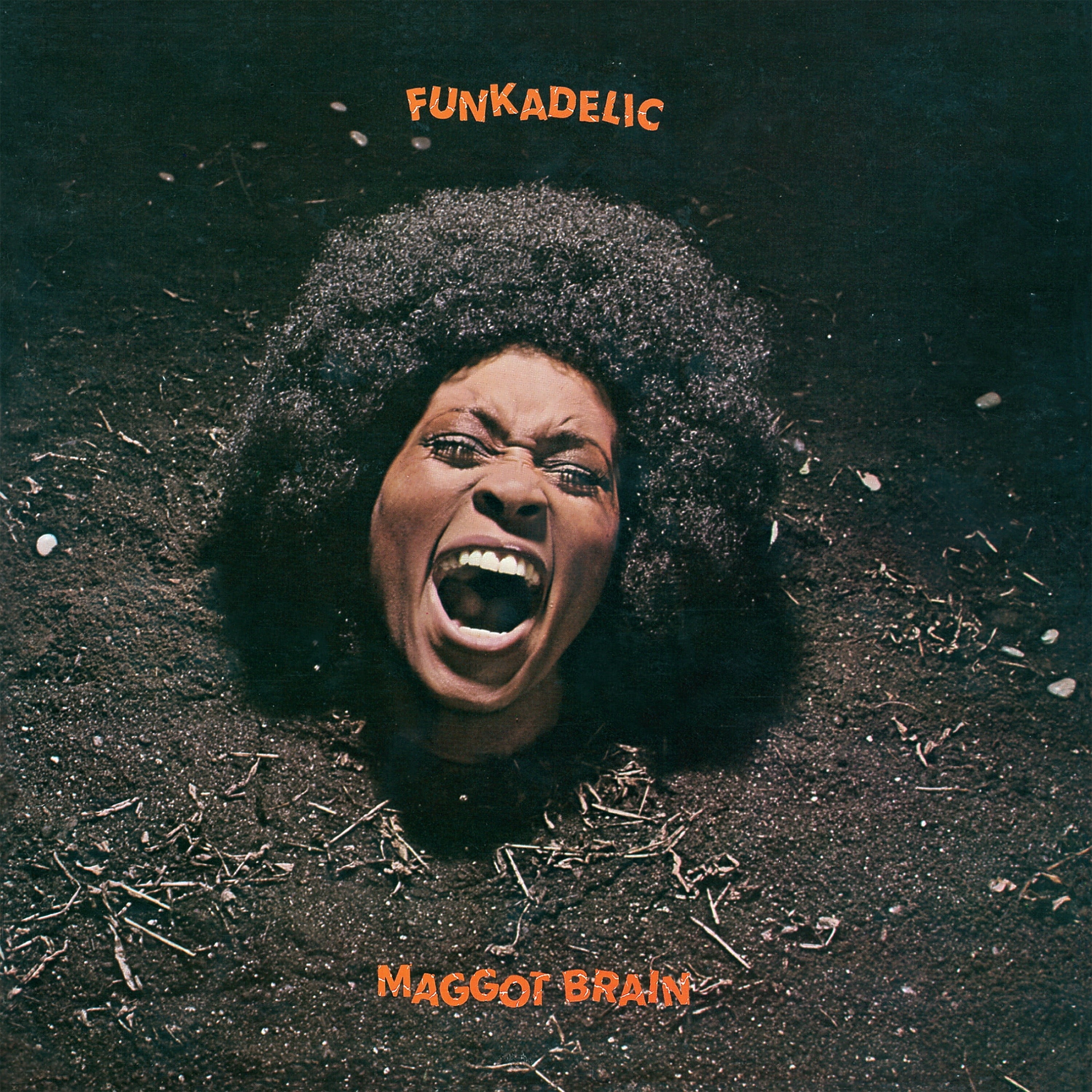 Funkadelic - Maggot Brain: 50th Anniversary Edition 2LP 180gm black vinyl repress - Music & Performance
