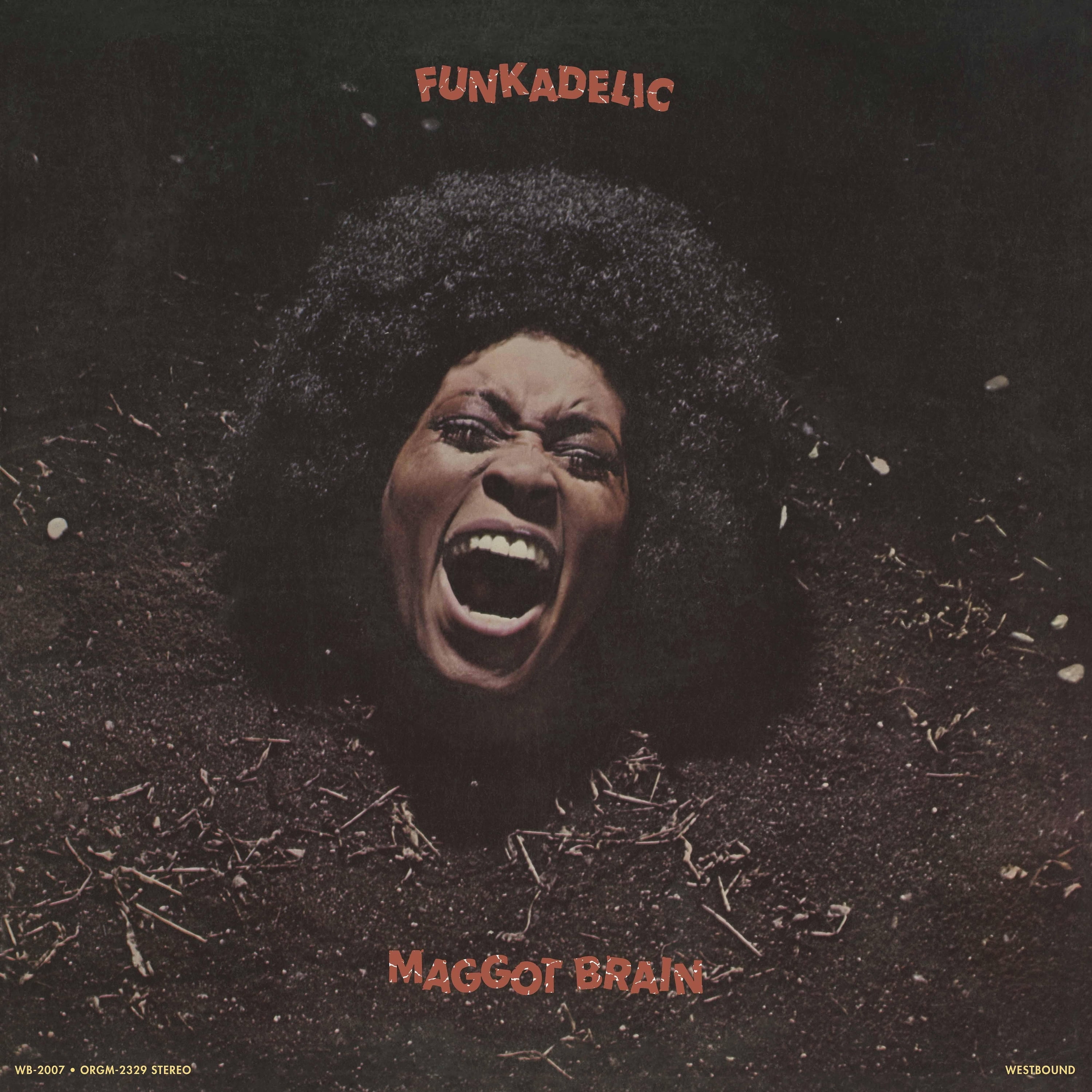 Funkadelic - Maggot Brain - Music & Performance - Cassette