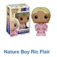 thumbnail image 1 of Funko Pop Nature Boy Ric Flair Vinyl Figure, 1 of 2