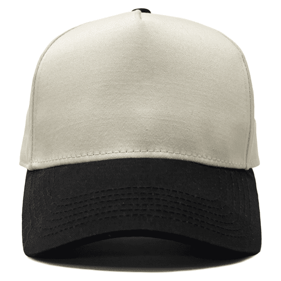 Funky Junque Two Tone Vintage Snapback Hat - Black/Beige