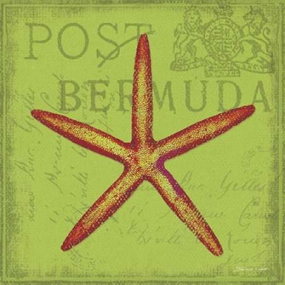 Funky Starfish Canvas Art - Stephanie Marrott (24 x 24)
