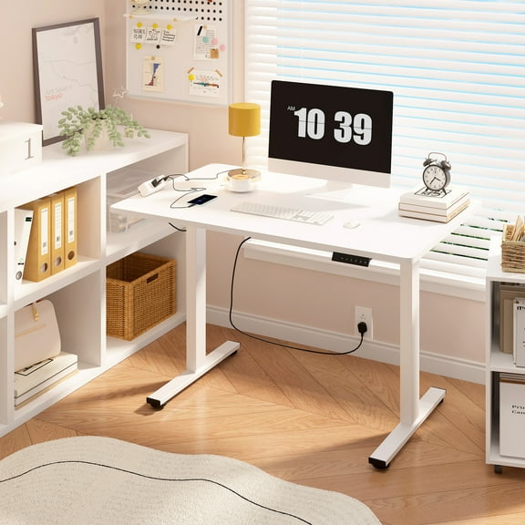 FunniHomi 48" x 30" Electric Height Adjustable Standing Desk with Hooks, Whole-Piece Desktop Cable Management Tray, and Built-in Power Outlet, Ergonomic Sit-Stand Desk for Home Office(2 Packages)