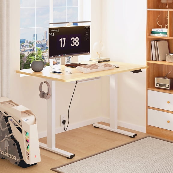 FunniHomi 48" x 30" Electric Height Adjustable Standing Desk with Hooks, Whole-Piece Desktop Cable Management Tray, and Built-in Power Outlet, Ergonomic Sit-Stand Desk for Home Office(2 Packages)