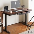 thumbnail image 1 of FunniHomi 55" Width Home Office Electric Standing Desk with Drawers, Sit Stand Desk with Storage, USB Charging, Height Adjustable Computer Desk for Home Office, Rustic Top and Black Adjustable Frame, 1 of 10
