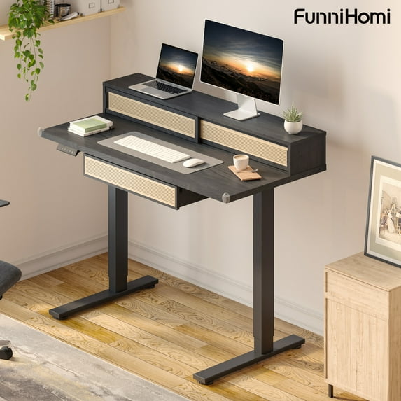 FunniHomi Electric Standing Desk for Home Office, 48"x24" Adjustable Sit Stand Desk with Drawers, Monitor Shelf & Memory Presets, Ergonomic Black Workstation