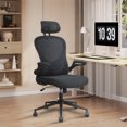thumbnail image 1 of FunniHomi Mesh Office Chair, with Adjustable Lumbar Support Adjustable Armrest，Black, 1 of 7
