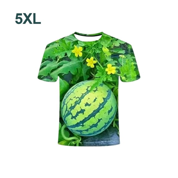 Funny 3D Watermelon Belly T Shirt, Summer Fruit Graphic Tee, Novelty Dad BOD Shirt, Lightweight Loose Fit