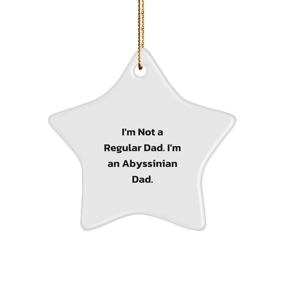 Funny Abyssinian Cat Gifts for Dad - 'I'm Not A Regular Dad. I'm An Abyssinian Dad.' Star Ornament, Unique Christmas Unique Gifts from Men to Family