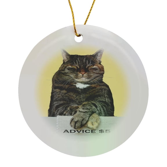 3drose, Funny Advice Cat Looking Aloft Grumpy Meme, Circle Porcelain Ornament