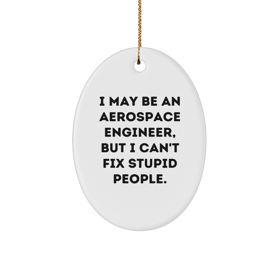 Funny Aerospace Engineer Gifts from Friends, Christmas Unique Oval Ornaments with I May Be An Aerospace Engineer, But I Can't Fix Stupid People. Quote for Men, Women, Coworkers, Family