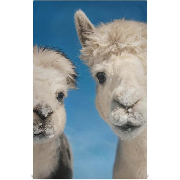 Funny Alpacas Face Dish Towels Set of 6, Blue Sky Washable Tea Towels Dishcloths Lint-Free 18x28 Inch Fast Drying for Kitchen Restaurant Bar Clean