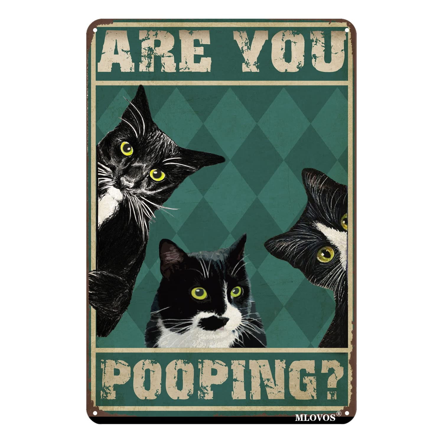 Funny Aluminum Sign are You Pooping Black Cat Metal Signs Bathroom ...