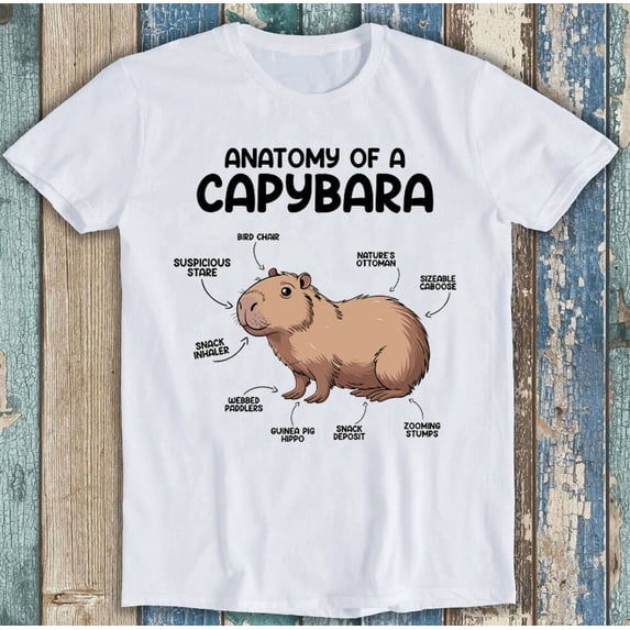 Funny Anatomy Of A Capybara Cute Animal Lover Meme Diagram Uni T funny-anatomy-of-a-capybara-cute-animal-lover-meme-diagram-uni-t
