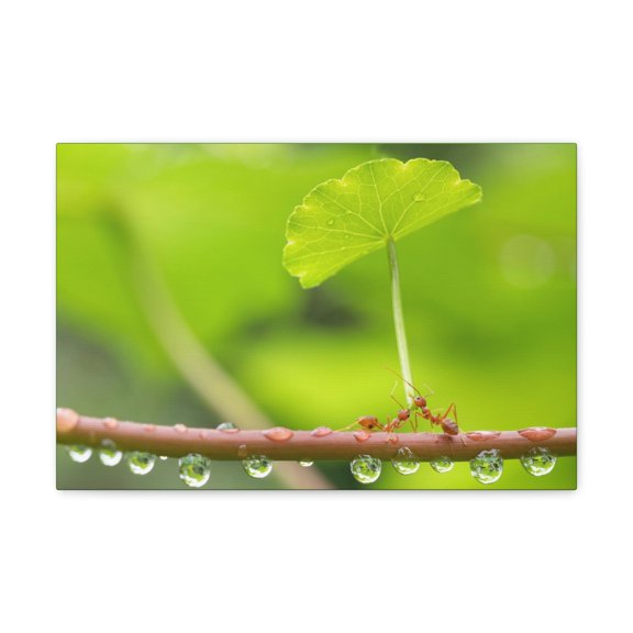 Funny Any Silly Ant Couple Wall Art Ready to Hang Unframed