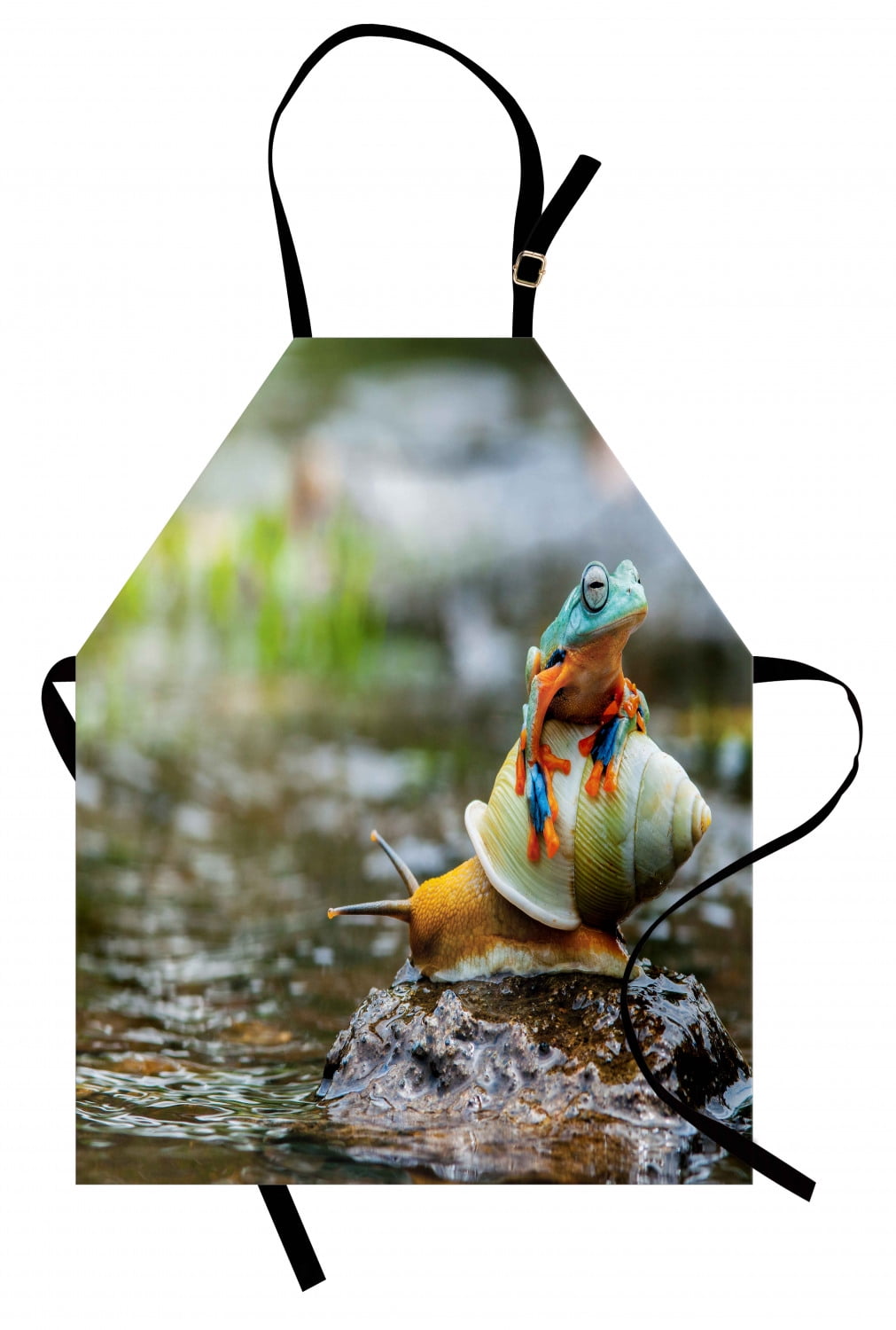 Funny Apron Cute Colorful Frog Above the Snail Riverscape Water Rock ...