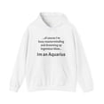 thumbnail image 1 of Funny Aquarius Zodiac Unisex Heavy Blend™ Hooded Sweatshirt, 1 of 4
