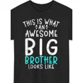 thumbnail image 1 of Funny Awesome Big Brother Quote for Men Gift for Brother Short Sleeve Casual Graphic T-Shirt, 1 of 6