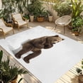 thumbnail image 1 of Funny Bears Outdoor Rug for Patio/Deck/Porch, Non-Slip Large Area Rug 5 x 8 Ft, Cute Art Fun Lovely Animals on Toilets Indoor Outdoor Rugs Washable Area Rugs, Reversible Camping Rug Carpet Runner, 1 of 8
