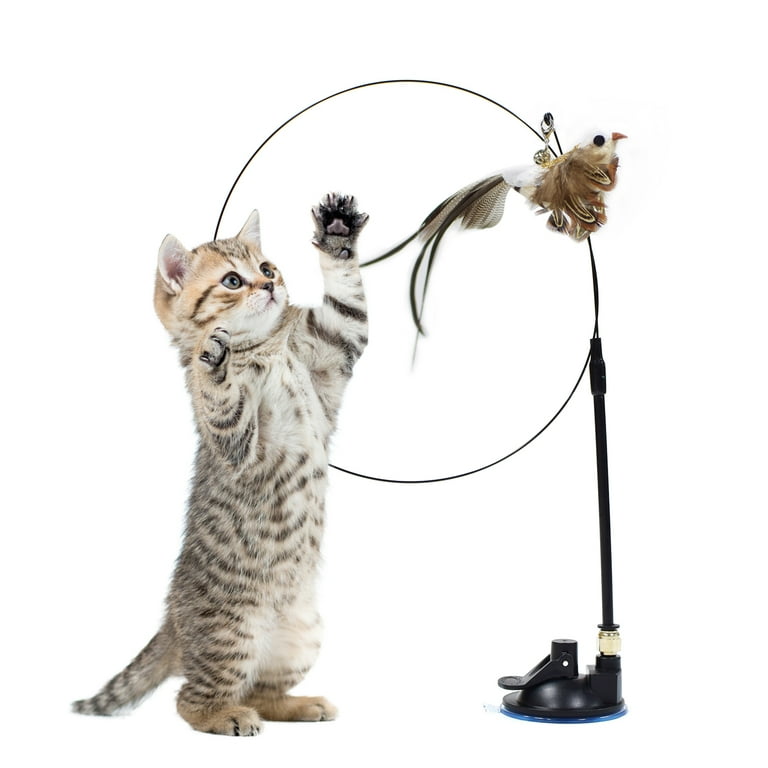 Funny Bird Interactive Cat Toy with Super Suction Cup Feather Bird for Kitten Play Chase Exercise Cat Stick Supplies