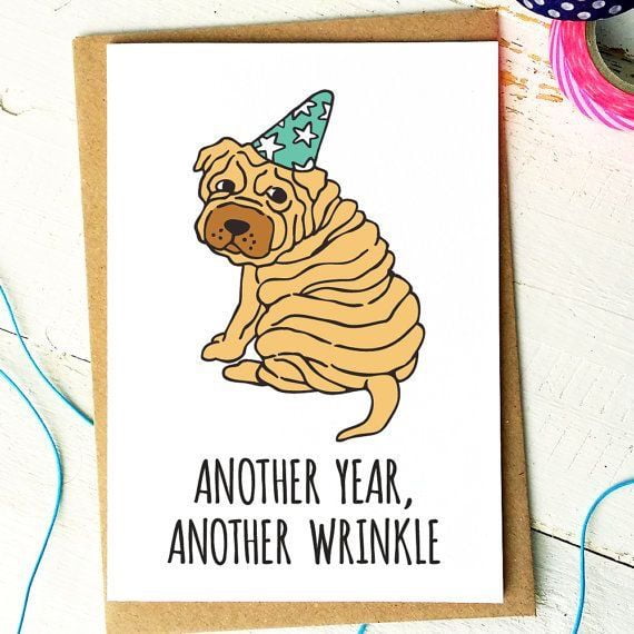Funny Birthday Card  "Another Year, Another Wrinkle" with Cute Dog Illustration  Blank Inside, Envelope Included  Perfect for Friends and Family