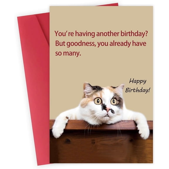 Funny Birthday Card for Cat Lovers  "Youre Having Another Birthday?" with Adorable Cat Design  Envelope Included, Blank Inside  Perfect for Friends and Family Celebrating Their Special Day