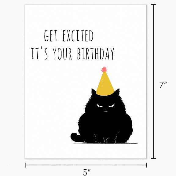 Funny Birthday Card for Cat Lovers  "Get Excited It's Your Birthday"  Humorous Design Featuring Grumpy Cat  Blank Inside, Envelope Included